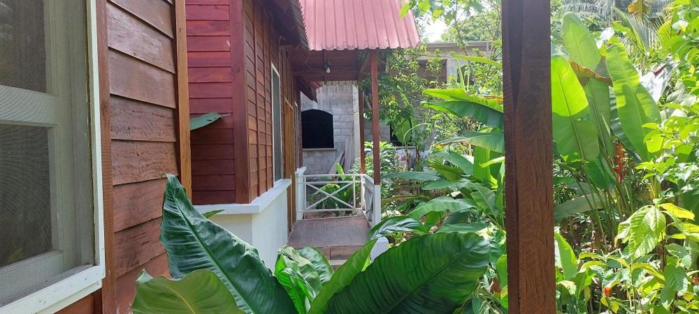 Cabanas Yax-Ha Arroyo Agua Azul 外观 照片