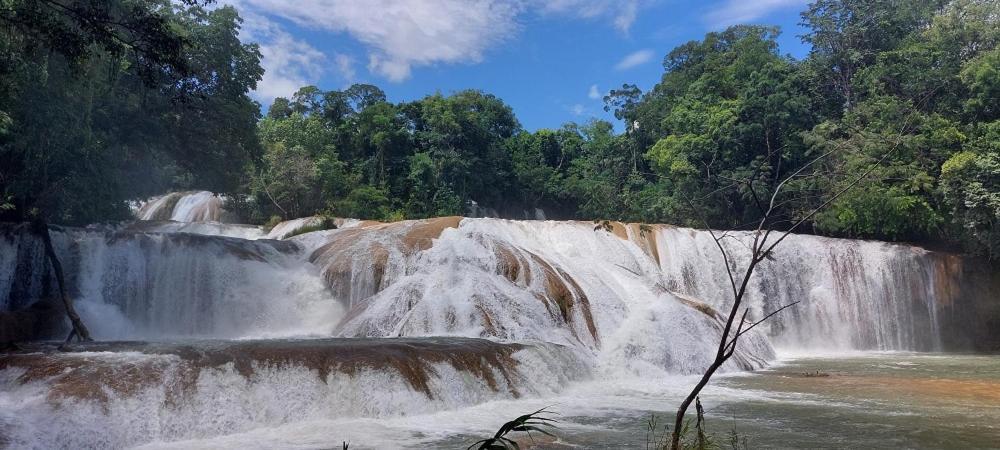 Cabanas Yax-Ha Arroyo Agua Azul 外观 照片